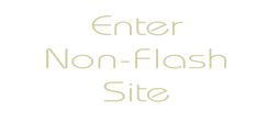 Non-Flash Site