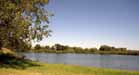 Pond